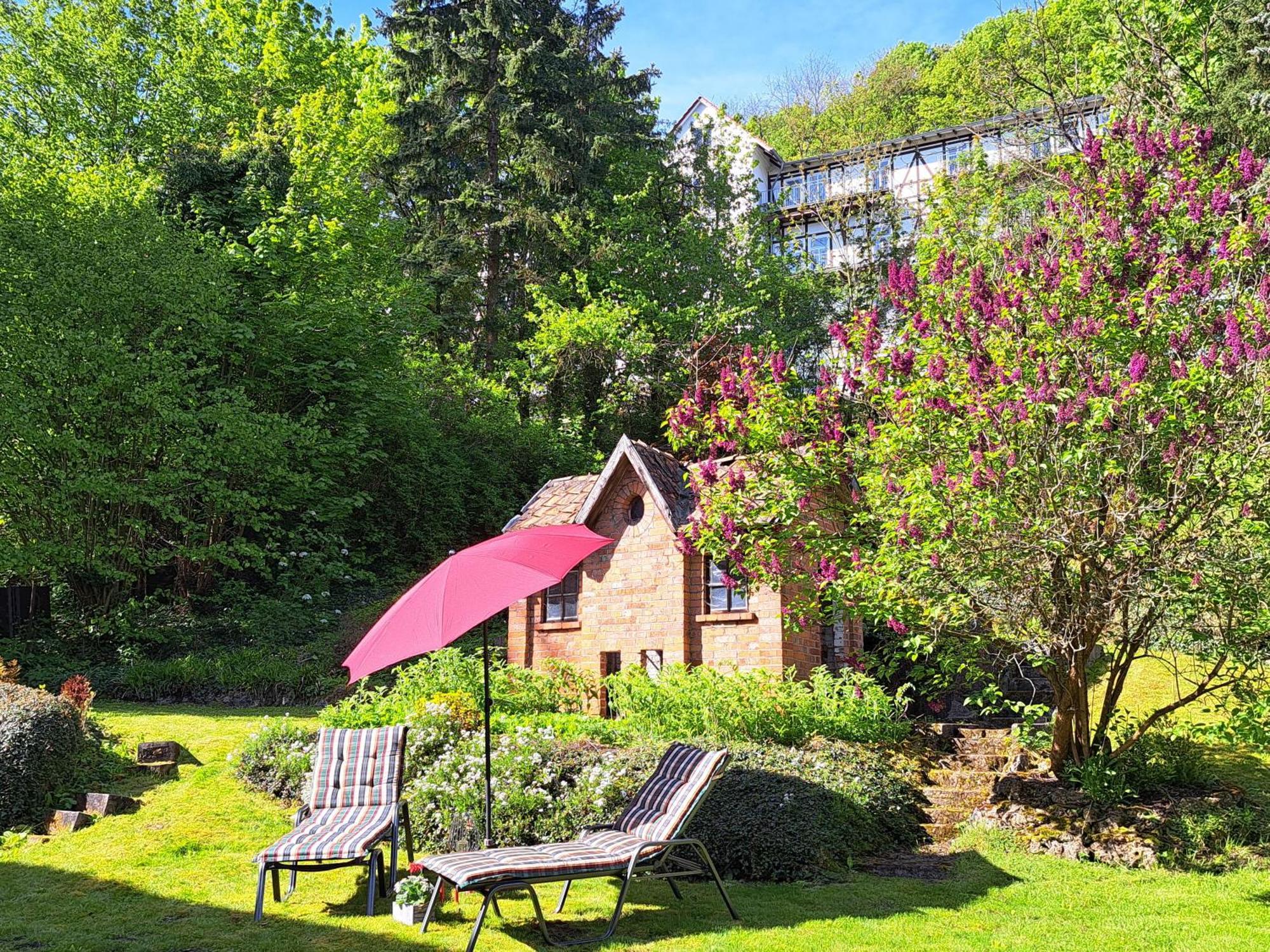 Haus Lieberum Apartment Erdgeschoss Bad Sooden-Allendorf Exteriör bild